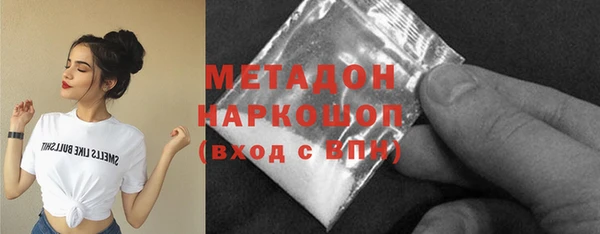 прущие грибы Армянск