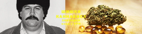 спиды Аркадак