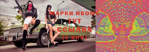 прущие грибы Армянск