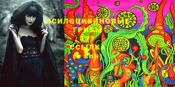 прущие грибы Армянск