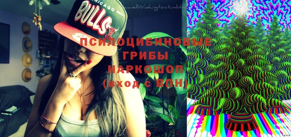 спиды Аркадак