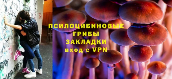 спиды Аркадак