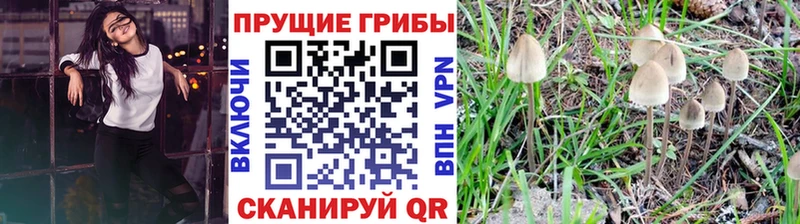 darknet клад  Сысерть  Галлюциногенные грибы прущие грибы  цена наркотик 